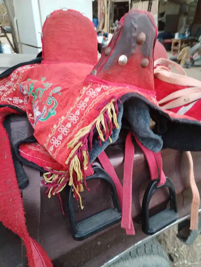 سروج حصان سيسي او بوني 0