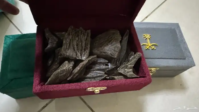 عود كلمنتان طبيعي محسن 0