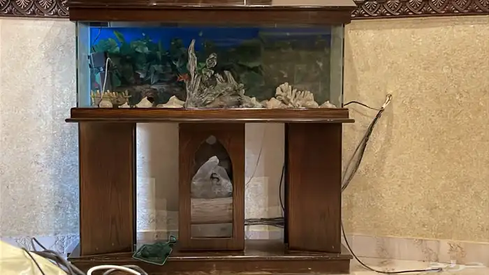 حوض سمك كبير الطول والعرض تقريبا متر وشوي 2