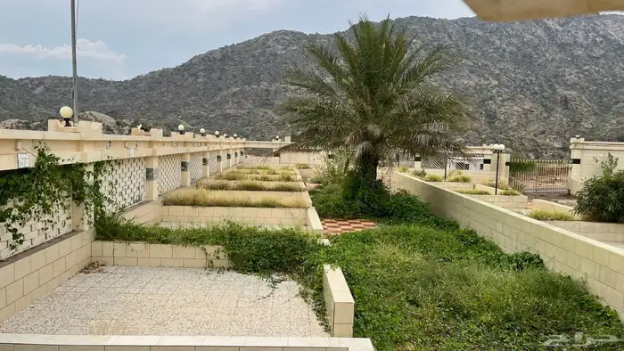 موقع بالكامل للبيع 7