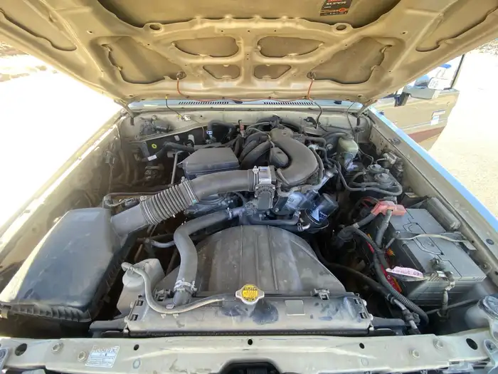 شاص بريمي 2016 1