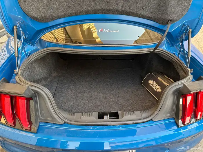 للبيع  موستنق GT 2019 22