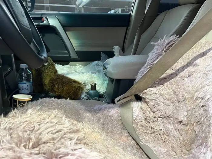 تويوتا برادو سته سلندر 2010 نظيف 10