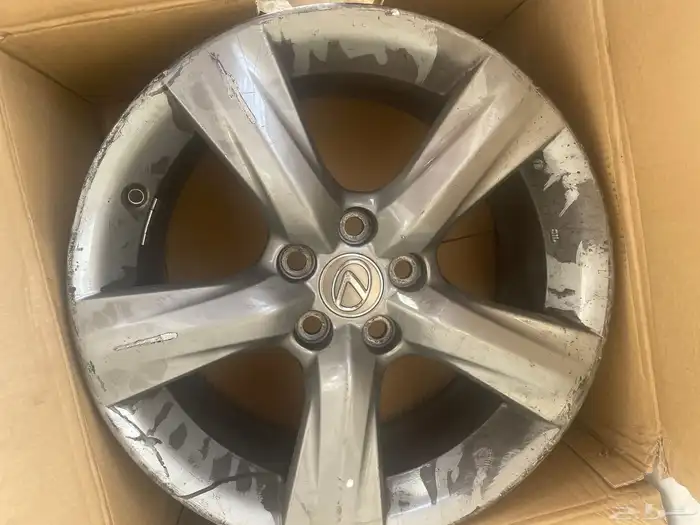 جنوط ارنوبه 2014 is 2