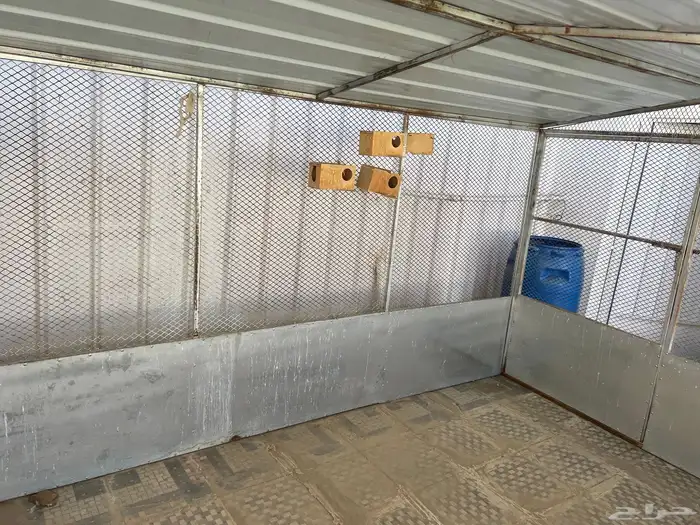 مطير طيور او شبك غنم 0