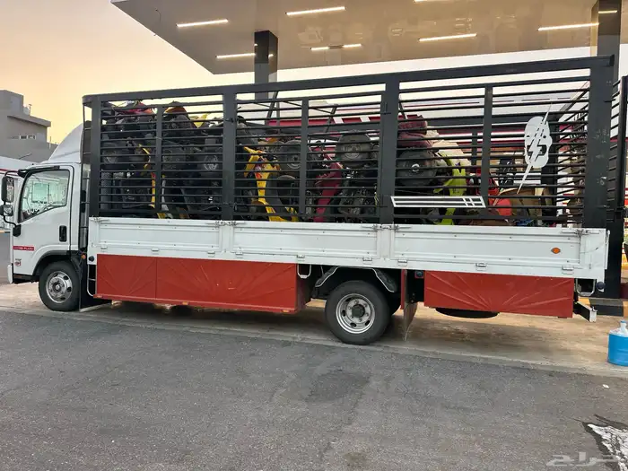 دينا دينه محايل عسير كبير دينه بارق دينه ابها 4