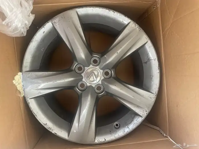 جنوط ارنوبه 2014 is 1