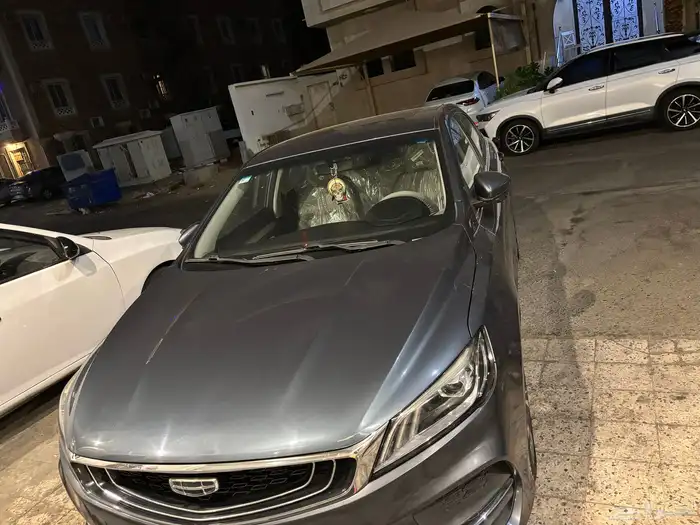 سيارة جيلي بينراي 2020 0