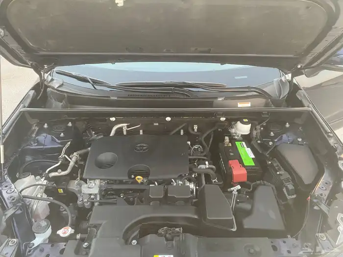 رافور2023 دبل 6