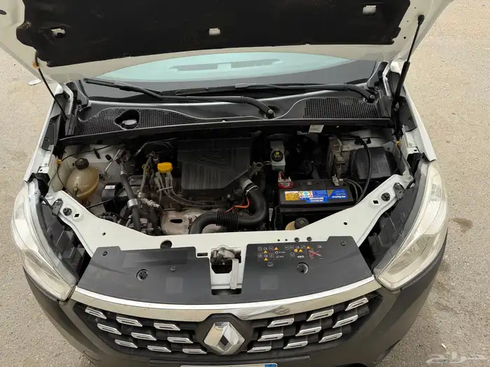 رينو_دوكر_2020 36