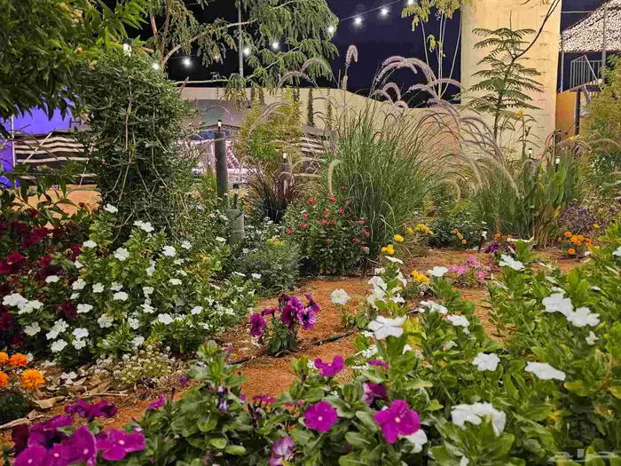 استراحة ومخيم للبيع المزاحميه (تبراك) 39