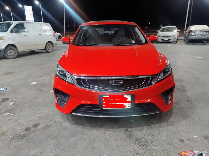 جيلي برناي 0