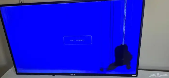 4 شاشات مكسورة ورسيفر Bein sport 7