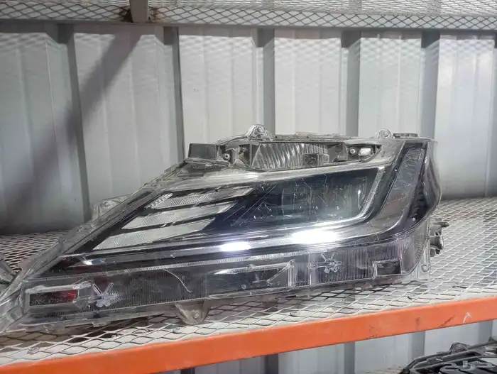 شمعات يارس 2024 1