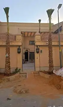 نخل واشنطني نخل اخلاص سكري صقعي هلالي غر نبوت سلج index