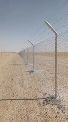 لتوريد النخل العربي والواشنطني والسياجات بجميع انواعها 9