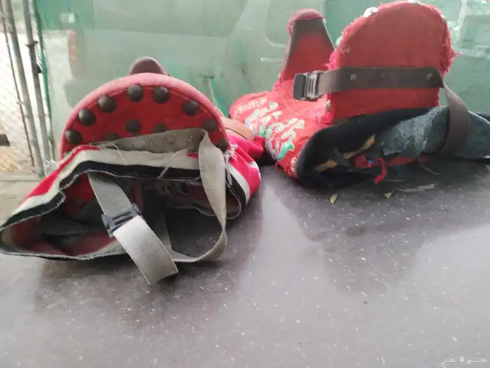 سروج حصان سيسي او بوني 2