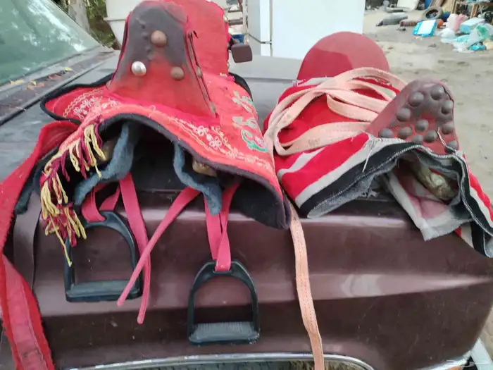 سروج حصان سيسي او بوني 1