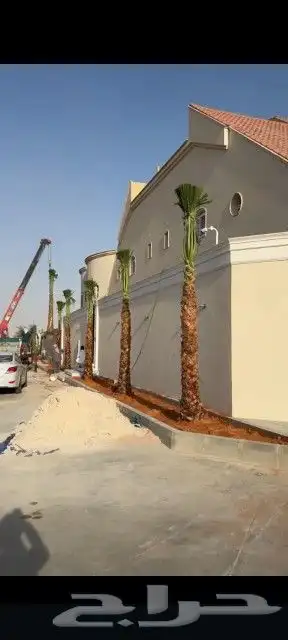 النخل البيع بجميع انواعه ولمقسات المختلفه خدمه متكامله رياض index