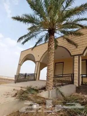 لتوريد النخل العربي والواشنطني والسياجات بجميع انواعها 7