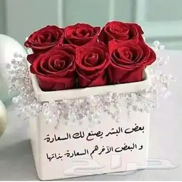 معلم شبابيك ومطابخ المونتال فنان 2