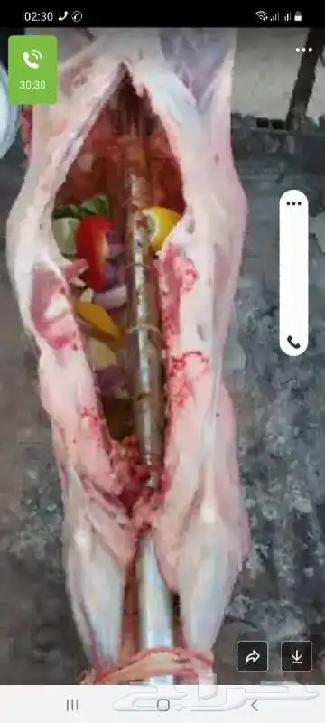 مطعم الخير يقدم خروف سيخ على الجمر 1 خروف مشوي   2   دجاج مش 5