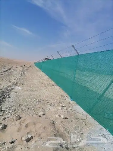 لتوريد النخل العربي والواشنطني والسياجات بجميع انواعها 2