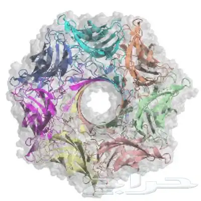 مركز تدريب ومعاهد 0