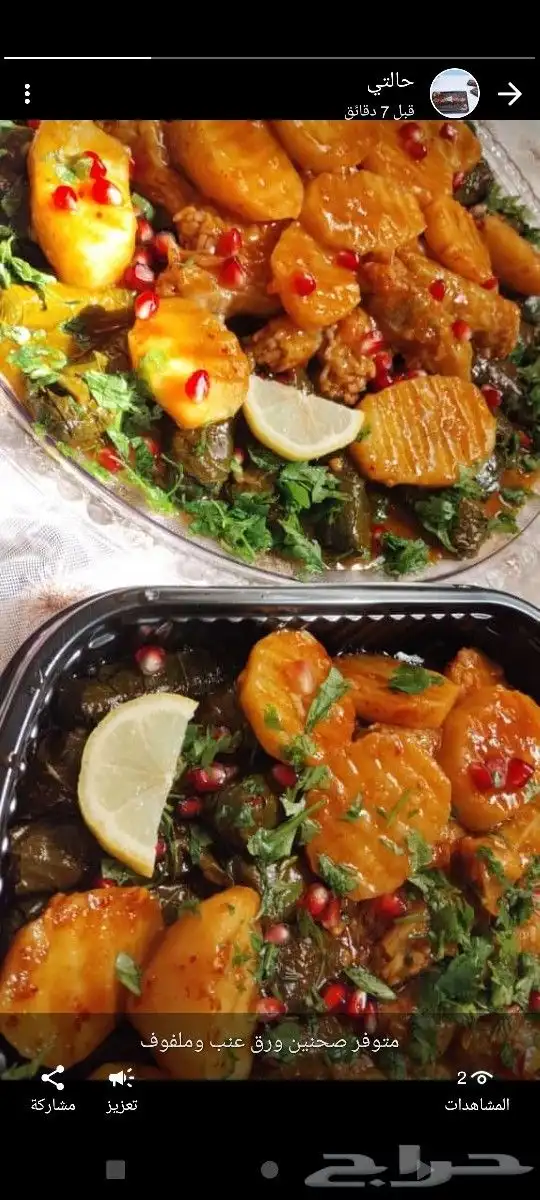 ورق عنب الدمام 9