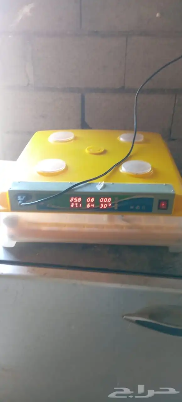 فقاسه بيض 98 2