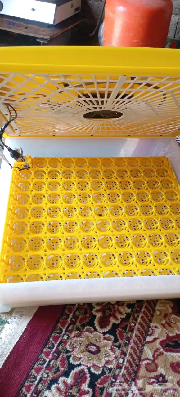 فقاسه بيض 98 1