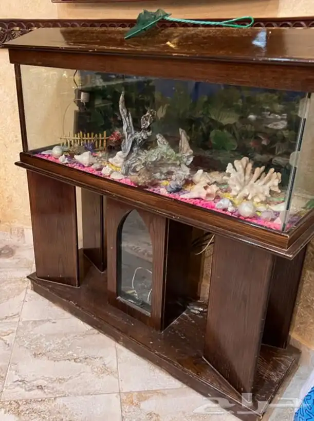 حوض سمك كبير الطول والعرض تقريبا متر وشوي 0