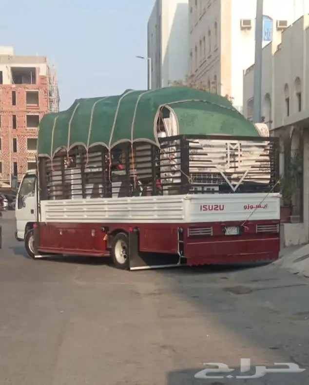 دينه 5متر صندوق جدة 0