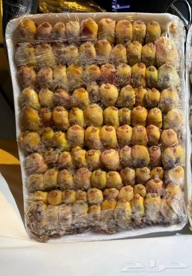 طيور دخل من مصر 0