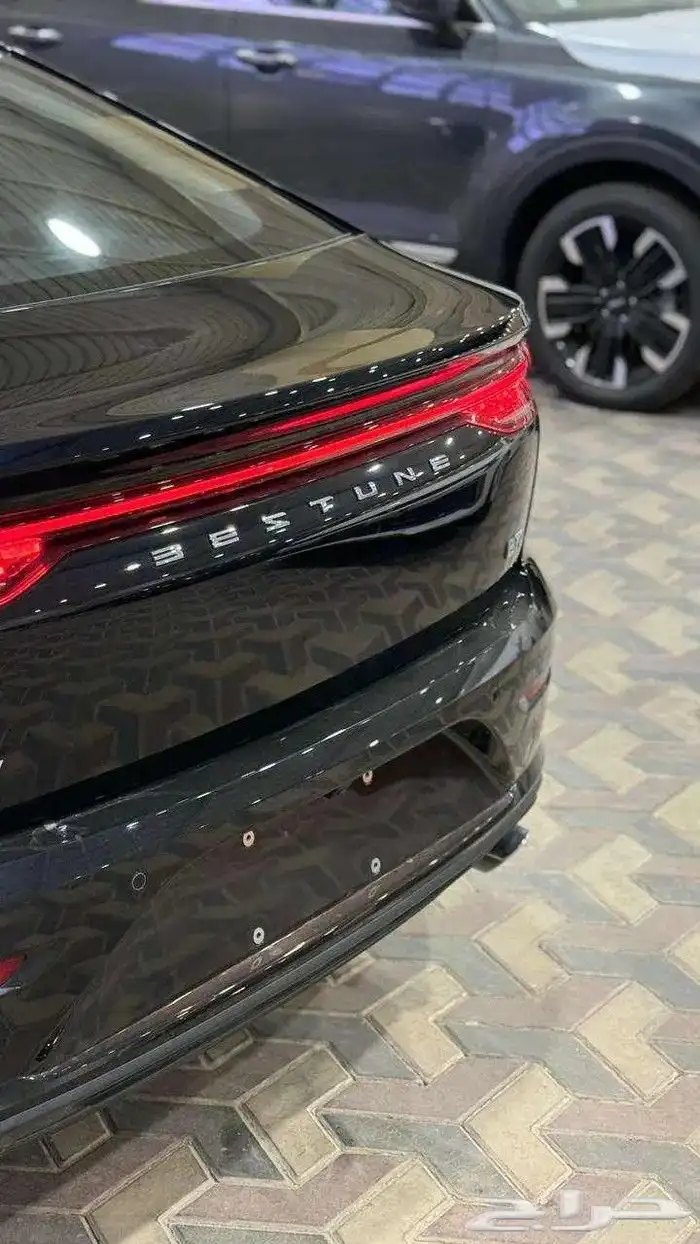 فاو بيستون بي 70 2026 19