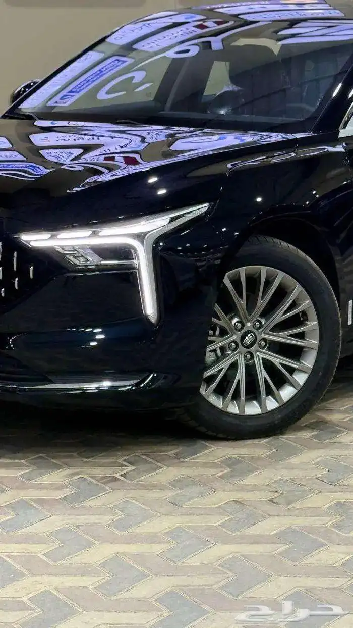 فاو بيستون بي 70 2026 3