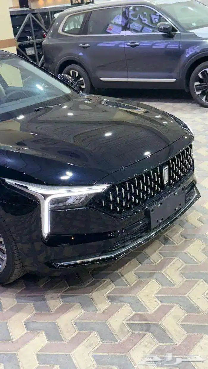 فاو بيستون بي 70 2026 4