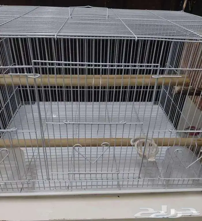 قفص 601 مع بياضه كبيرة للإنتاج 0