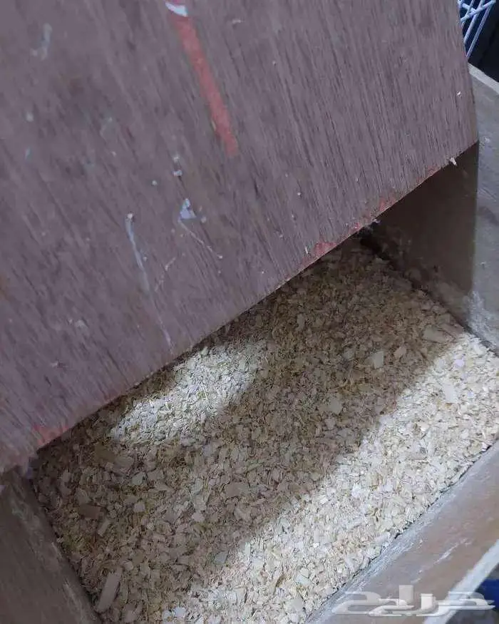 قفص 601 مع بياضه كبيرة للإنتاج 2