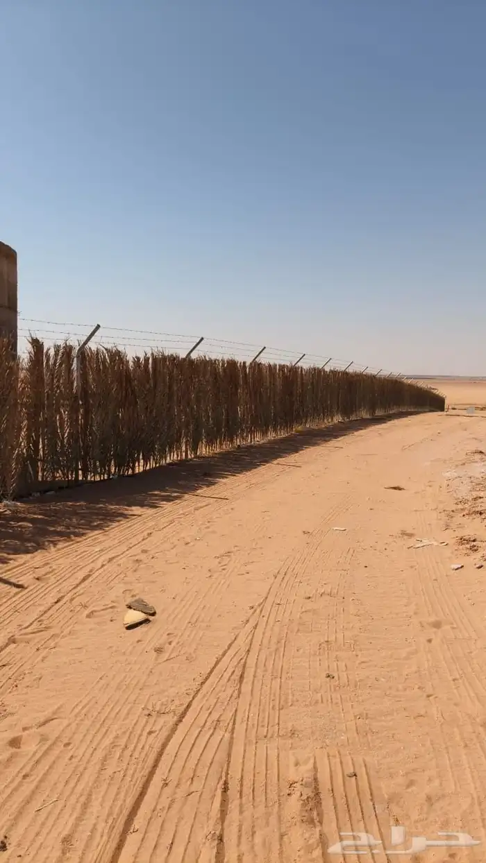 اسعار منسبه 0