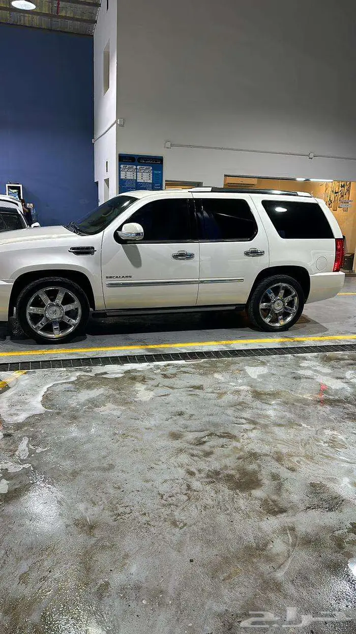 اسكاليد 2011 6