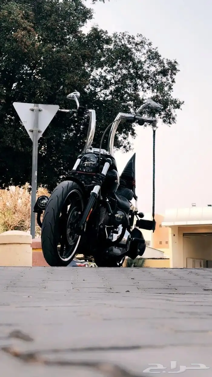 Harley Davidson Breakout 2019 0