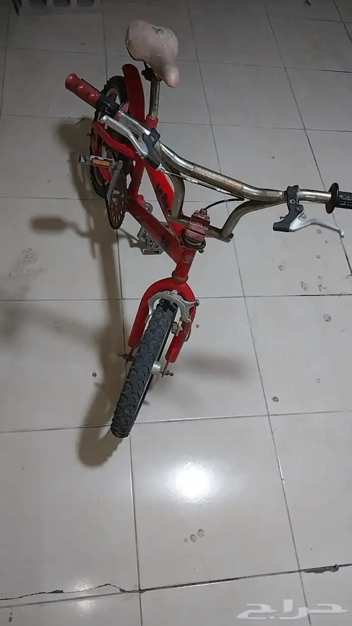 سيكل كوبرا 1