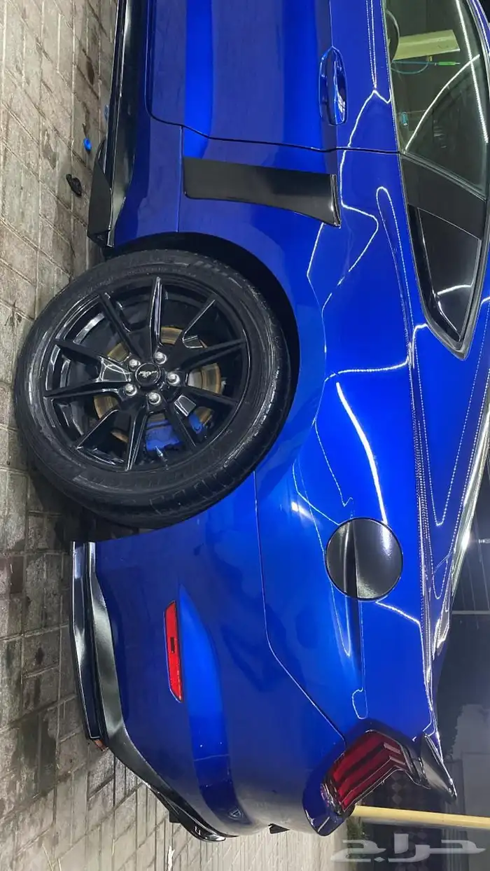 موستنق 5.0 قير عادي ( عمان ) 10