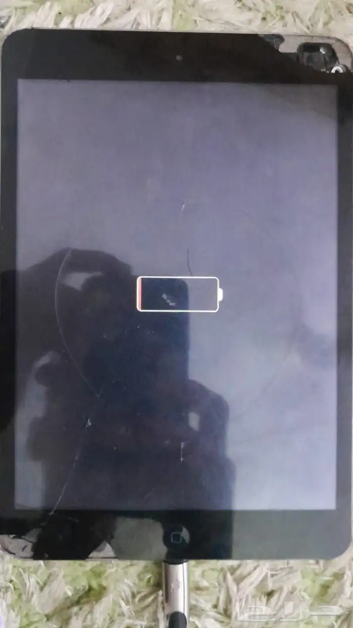 iPad mini الجيل الأول 0