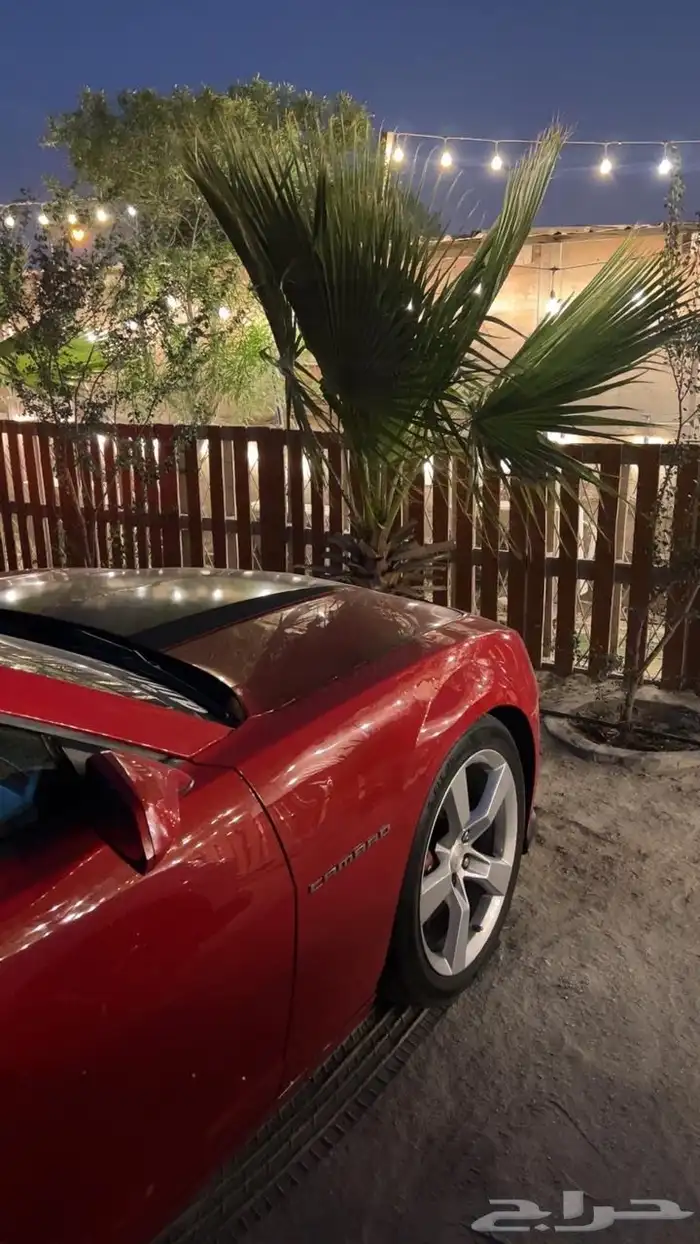 كمارو 2010ss 10