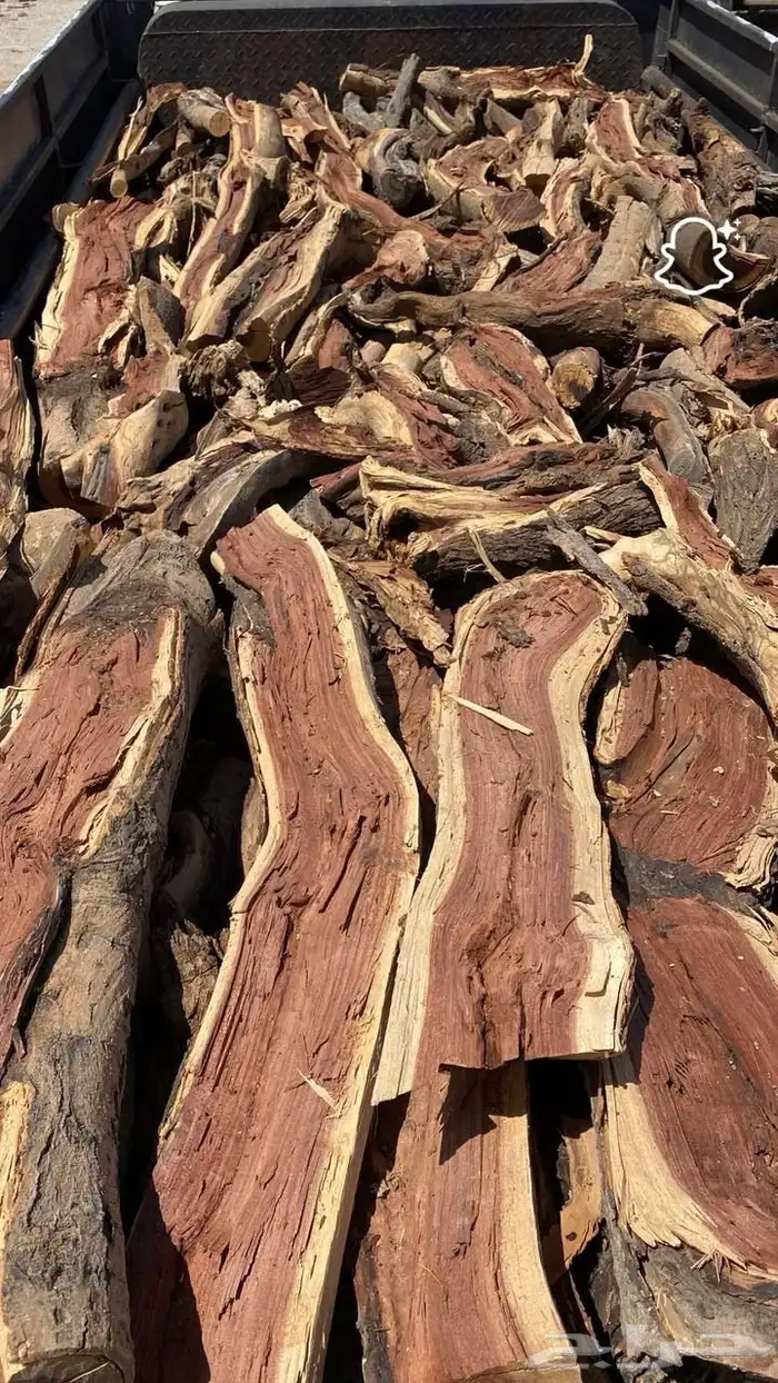 رياض الخبراء 2