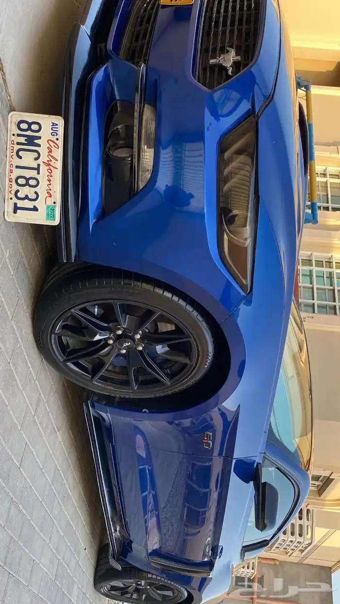 موستنق 5.0 قير عادي ( عمان ) 0