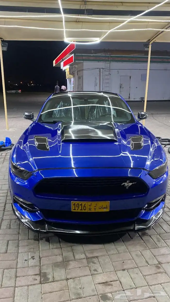 موستنق 5.0 قير عادي ( عمان ) 4