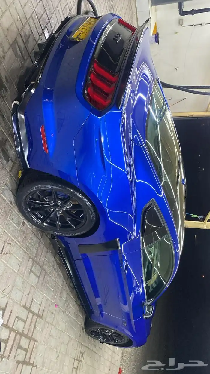 موستنق 5.0 قير عادي ( عمان ) 6